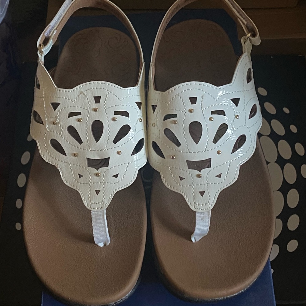 Rockport Navy Box with White Logo
